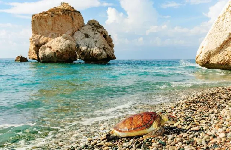 Treasures of Cyprus: Ντοκιμαντέρ για τον πολιτισμό της Κύπρου στο BBC