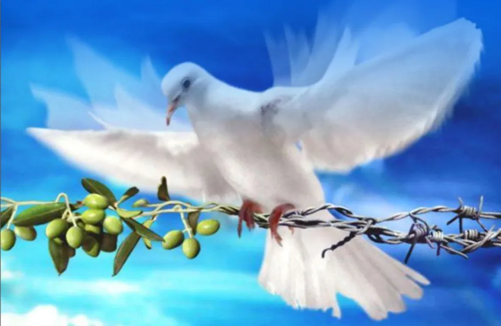 Header Image