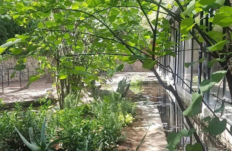 Παρουσίαση του Open Studio: I στο Φυτώριο
