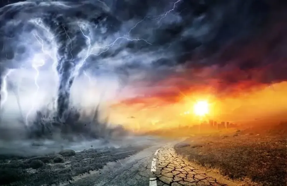 Header Image