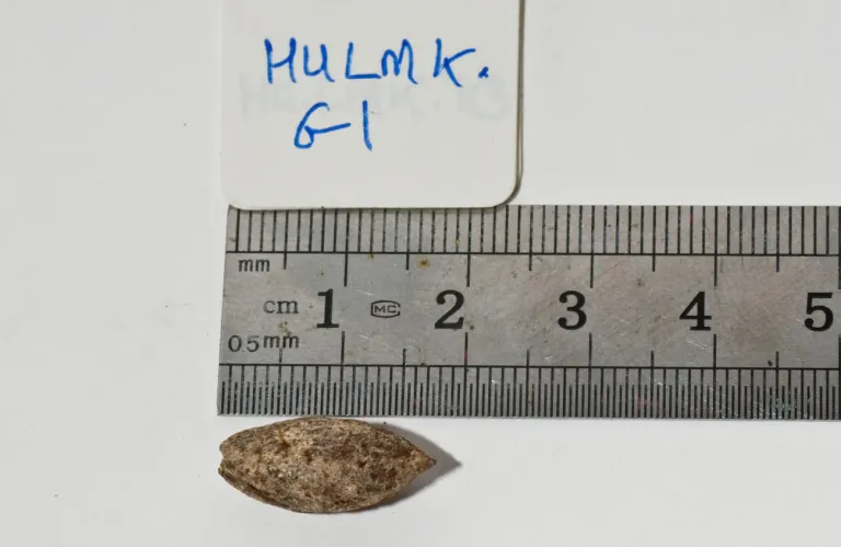 Article Thumbnail