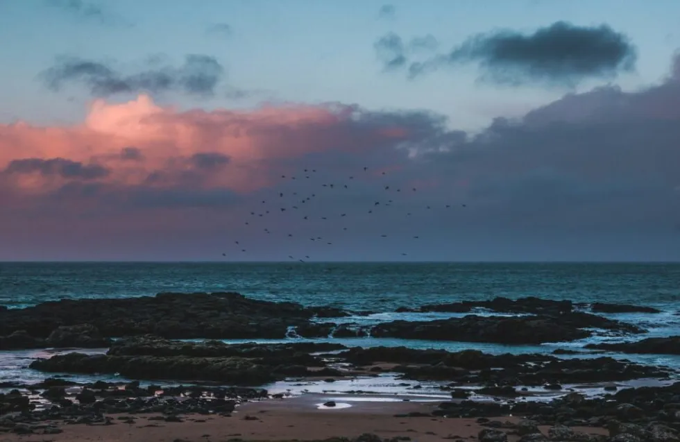 Header Image