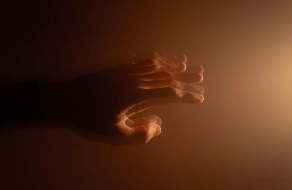 Header Image