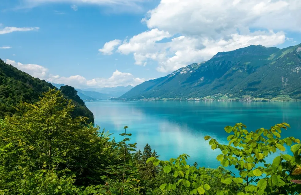 Header Image