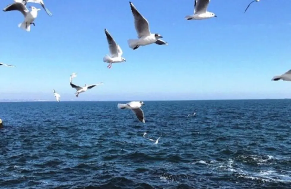 Header Image