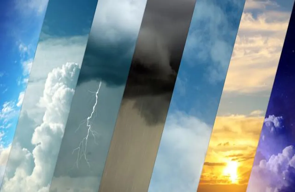 Header Image