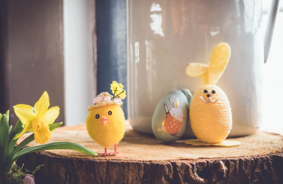 Header Image