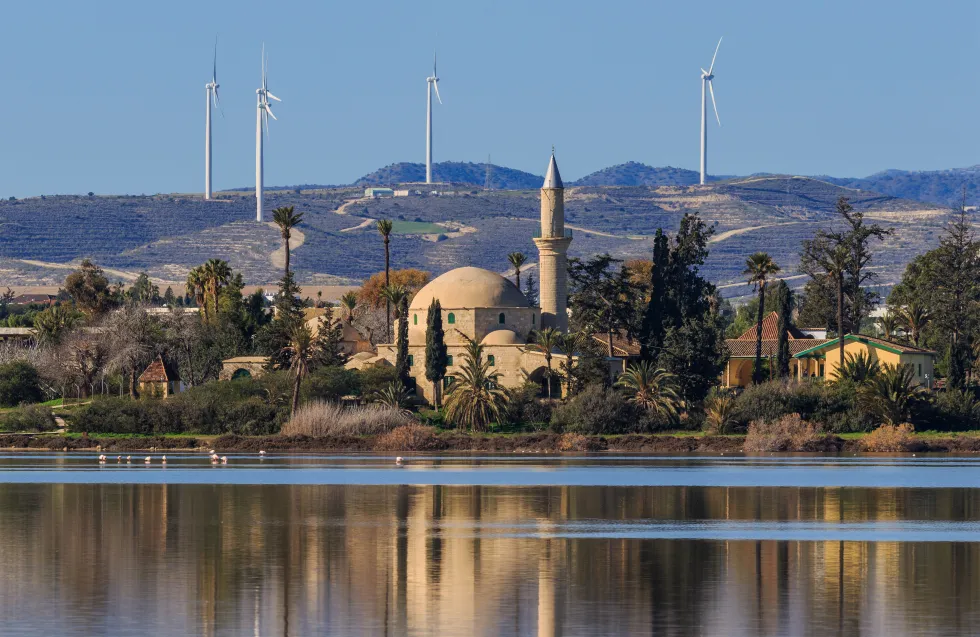 Δημιουργία αρχαιολογικού πάρκου συζήτησαν φορείς της Λάρνακας με Τμ. Αρχαιοτήτων
