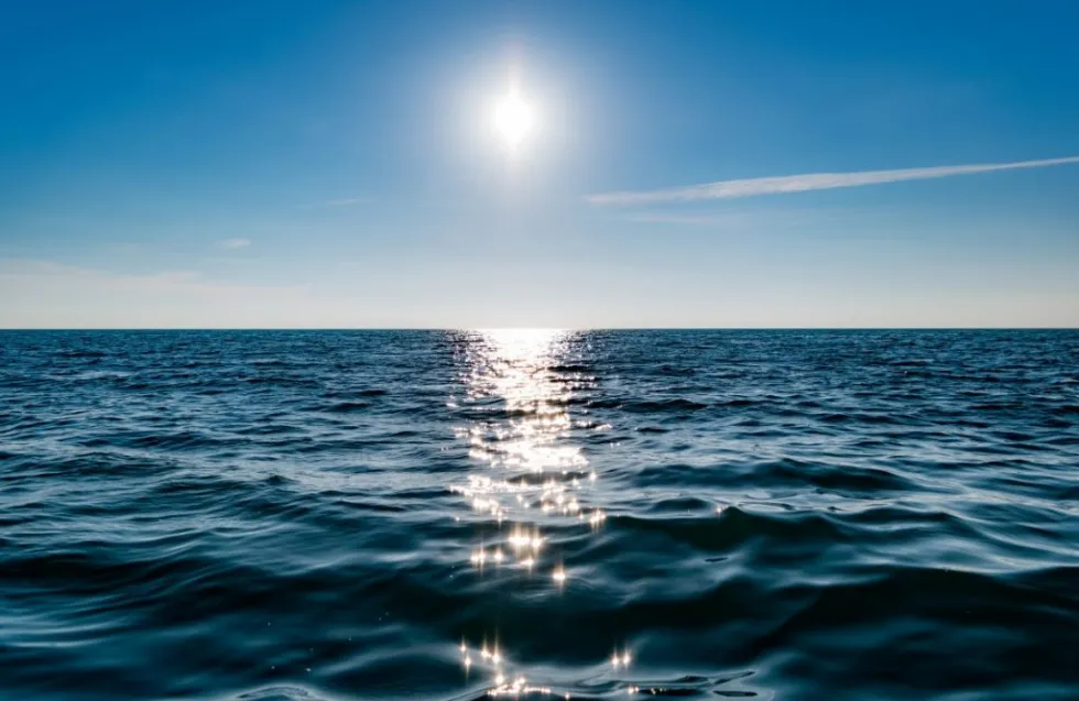 Header Image