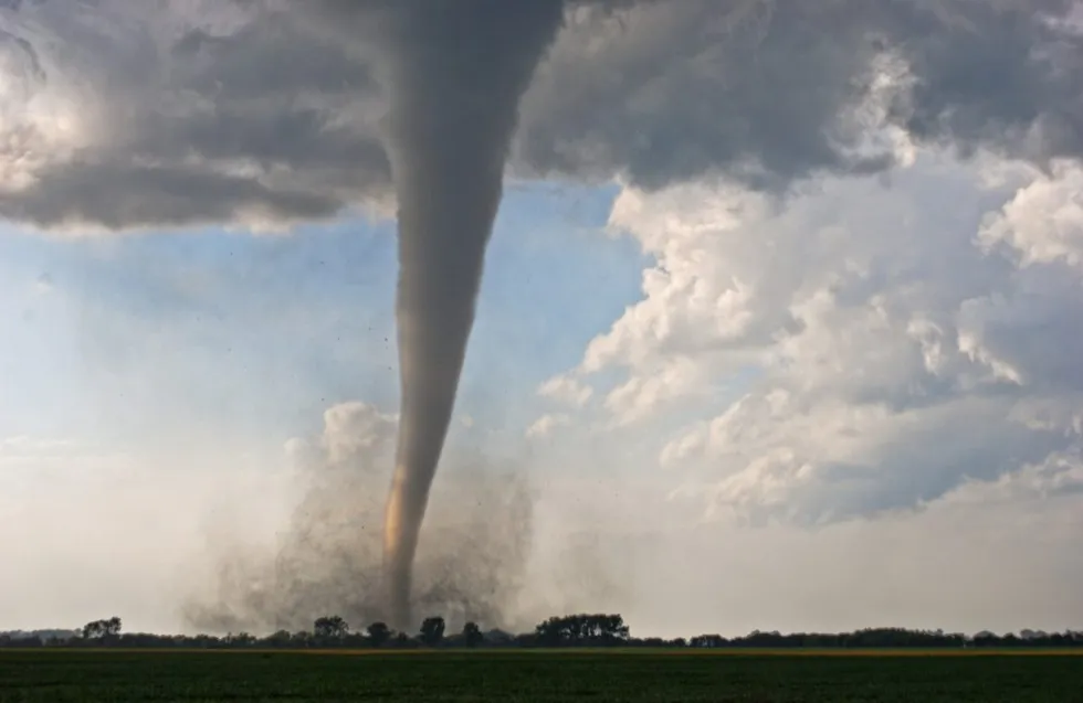 Header Image
