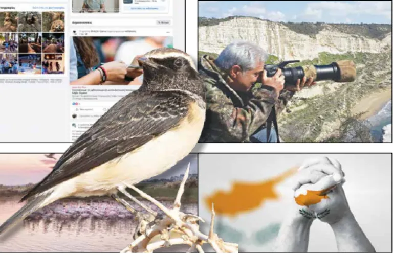 Article Thumbnail