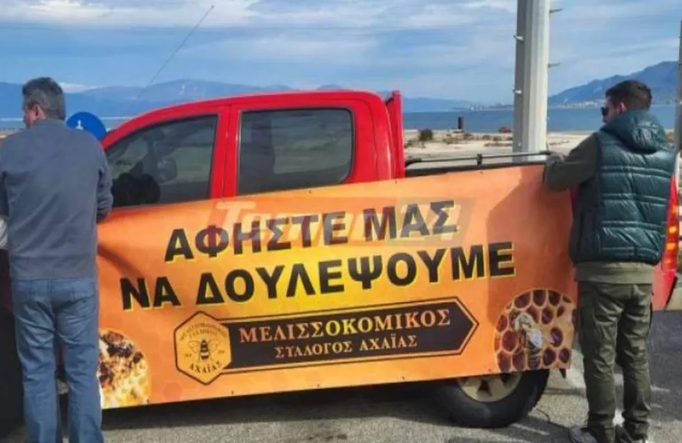 Header Image