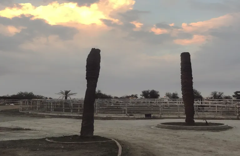 «Livery» | Offsite έκθεση από το Korai project space